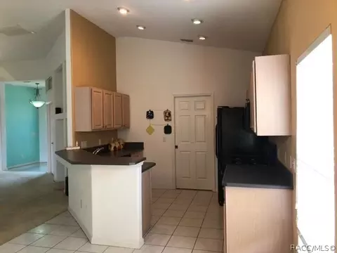 920 W Skyview Crossing Dr, Hernando, FL 34442 photo 11