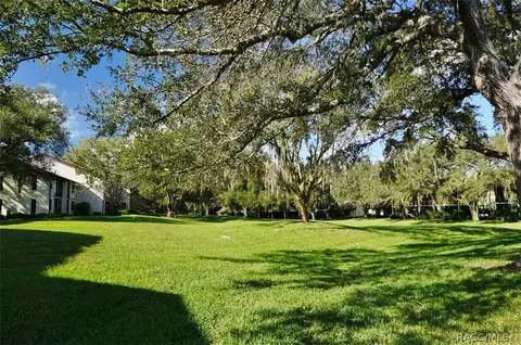401 E Hartford St, Hernando, FL 34442 photo 38
