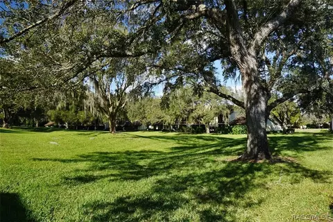 401 E Hartford St, Hernando, FL 34442 photo 39