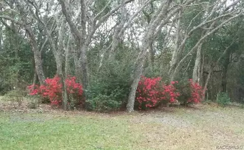 688 W Liberty St, Hernando, FL 34442 photo 17