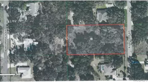 428 N Highview Ave, Hernando, FL 34442 photo 1