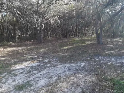 137 N Highview Ave, Hernando, FL 34442 photo 13