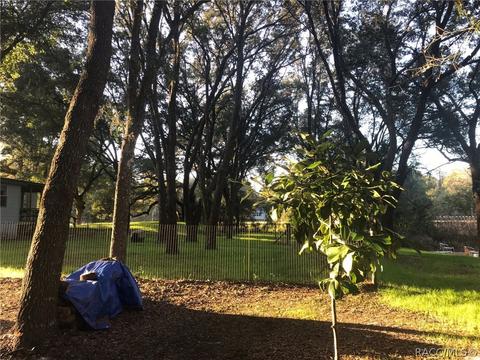 3783 E Camelot Pl, Hernando, FL 34442 photo 8