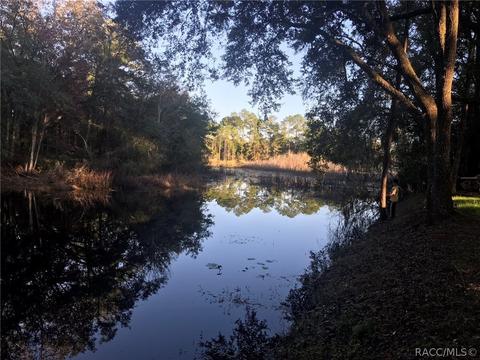 3783 E Camelot Pl, Hernando, FL 34442 photo 1