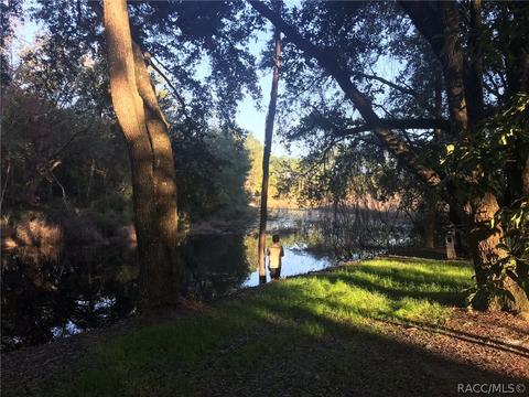 3783 E Camelot Pl, Hernando, FL 34442 photo 2