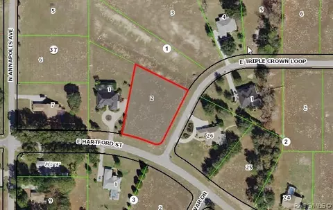 925 E Triple Crown Loop, Hernando, FL 34442 photo 1