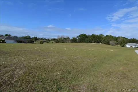 925 E Triple Crown Loop, Hernando, FL 34442 photo 3