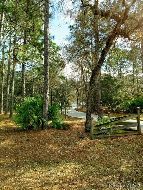 4375 N Mayan Dr, Hernando, FL 34442 photo 40