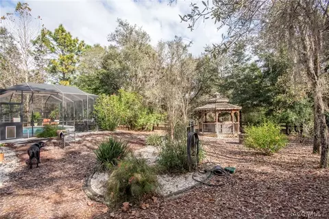 4375 N Mayan Dr, Hernando, FL 34442 photo 43
