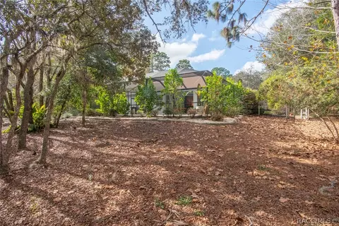 4375 N Mayan Dr, Hernando, FL 34442 photo 47