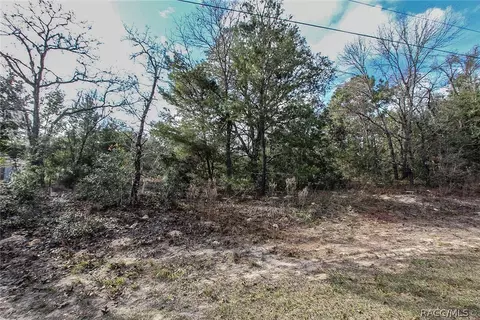3156 N Eisenhower Ave, Hernando, FL 34442 photo 2
