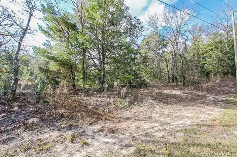 3156 N Eisenhower Ave, Hernando, FL 34442 photo 3