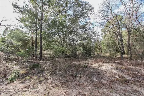 3156 N Eisenhower Ave, Hernando, FL 34442 photo 1