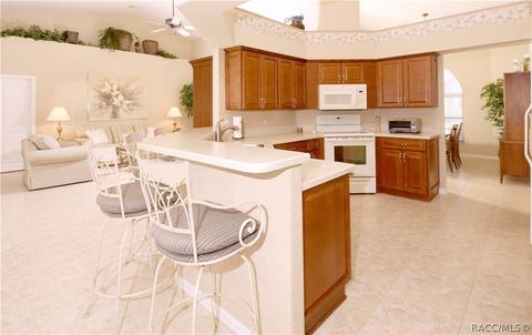 360 W Greenberg Ct, Hernando, FL 34442 photo 7