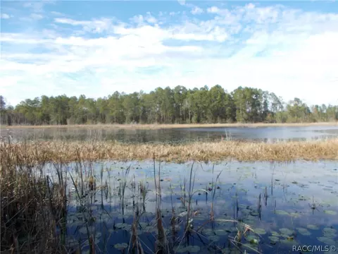 4149 E Shorewood Dr, Hernando, FL 34442 photo 27