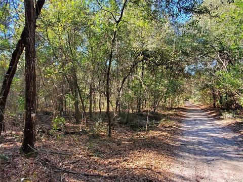 7252 W Contentment Ln, Dunnellon, FL 34433