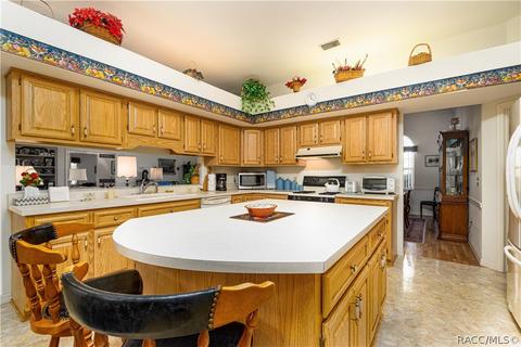286 E Dakota Ct, Hernando, FL 34442 photo 3