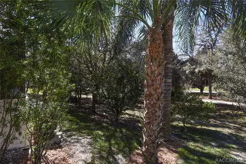 1928 N Gibson Pt, Hernando, FL 34442 photo 47