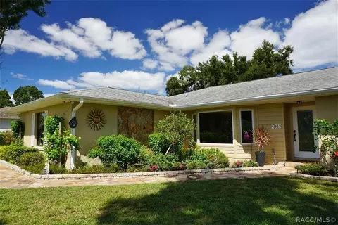 205 E Falconry Ct, Hernando, FL 34442 photo 46