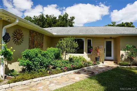 205 E Falconry Ct, Hernando, FL 34442 photo 4