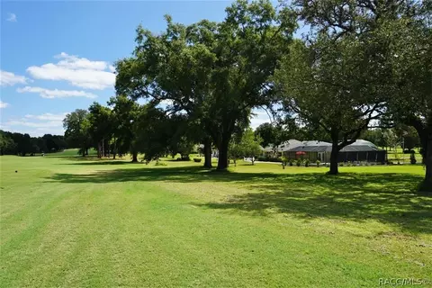 205 E Falconry Ct, Hernando, FL 34442 photo 3
