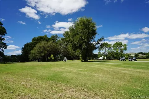 205 E Falconry Ct, Hernando, FL 34442 photo 42