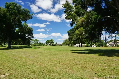 205 E Falconry Ct, Hernando, FL 34442 photo 41