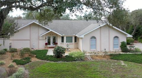 528 N Grandview Ave, Hernando, FL 34442 photo 45