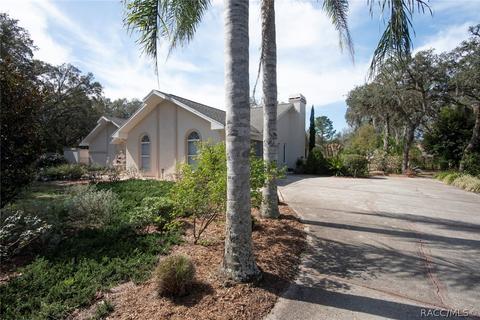 528 N Grandview Ave, Hernando, FL 34442 photo 43