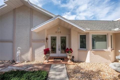 528 N Grandview Ave, Hernando, FL 34442 photo 6