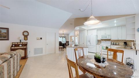 528 N Grandview Ave, Hernando, FL 34442 photo 24