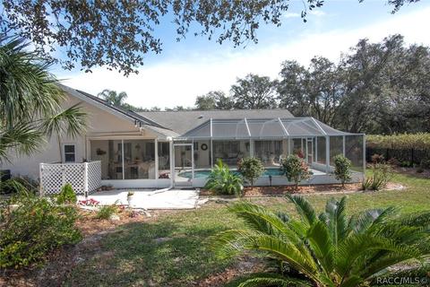 528 N Grandview Ave, Hernando, FL 34442 photo 40
