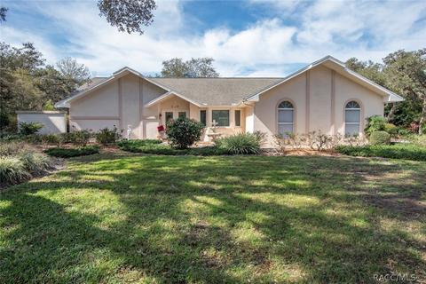 528 N Grandview Ave, Hernando, FL 34442 photo 1