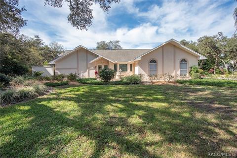 528 N Grandview Ave, Hernando, FL 34442 photo 37