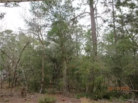 1651 E Bismark St, Hernando, FL 34442 photo 35