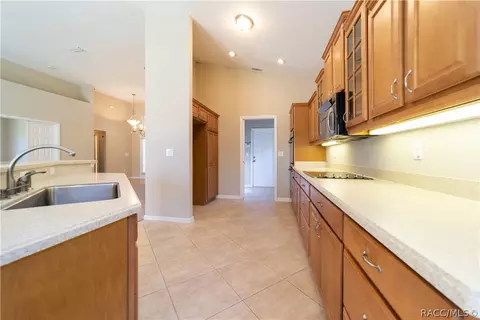 1700 W Laurel Glen Path, Hernando, FL 34442 photo 4