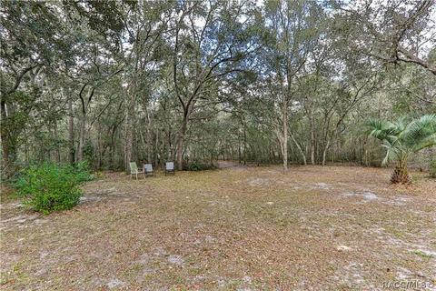 243 E Savoy St, Lecanto, FL 34461 photo 46