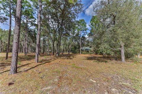 243 E Savoy St, Lecanto, FL 34461 photo 43