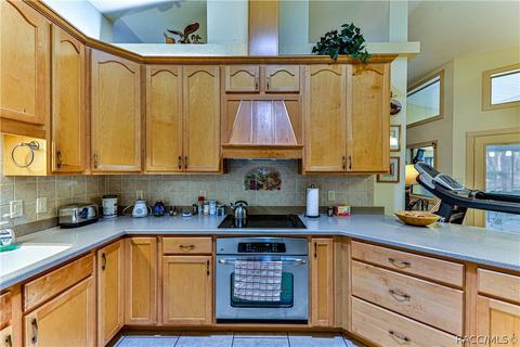 243 E Savoy St, Lecanto, FL 34461 photo 7