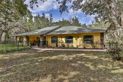 243 E Savoy St, Lecanto, FL 34461 photo 1