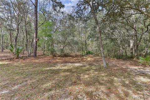 243 E Savoy St, Lecanto, FL 34461 photo 42