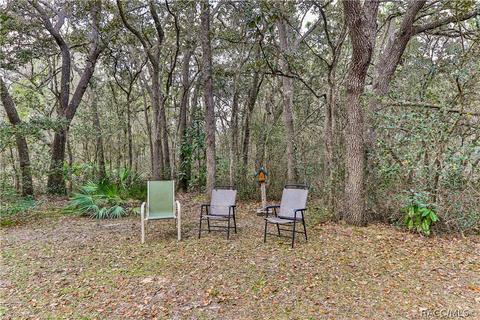 243 E Savoy St, Lecanto, FL 34461 photo 44
