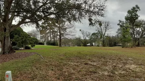 3615 N Pine Valley Loop, Lecanto, FL 34461 photo 3