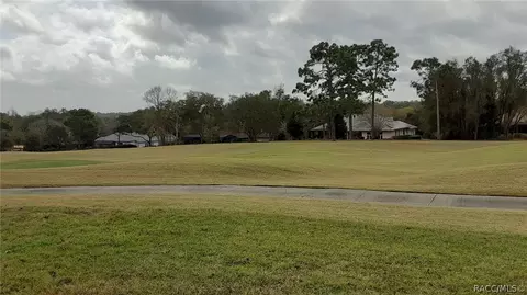 3615 N Pine Valley Loop, Lecanto, FL 34461 photo 8