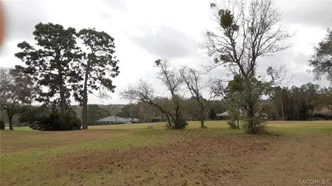 3615 N Pine Valley Loop, Lecanto, FL 34461 photo 5