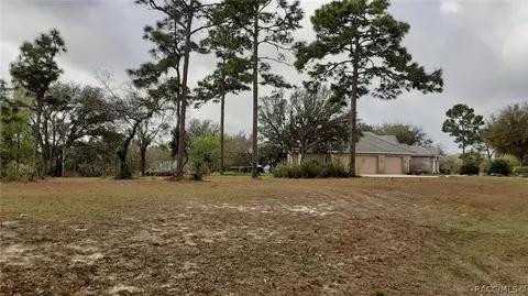 3615 N Pine Valley Loop, Lecanto, FL 34461 photo 4
