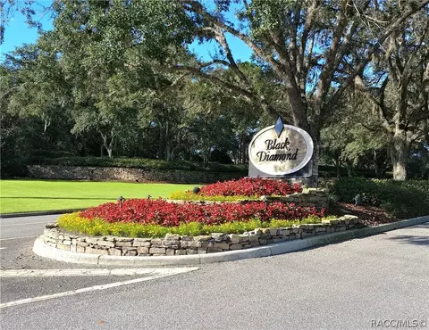 3615 N Pine Valley Loop, Lecanto, FL 34461 photo 1