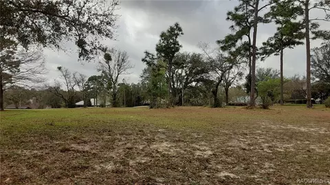3615 N Pine Valley Loop, Lecanto, FL 34461 photo 2