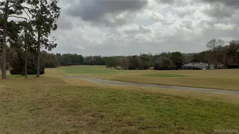 3615 N Pine Valley Loop, Lecanto, FL 34461 photo 6