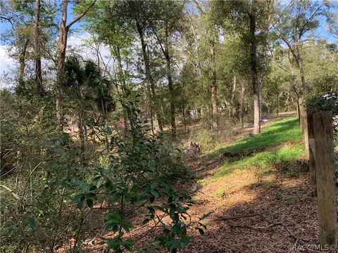 1598 E Naperville Ln, Hernando, FL 34442 photo 27